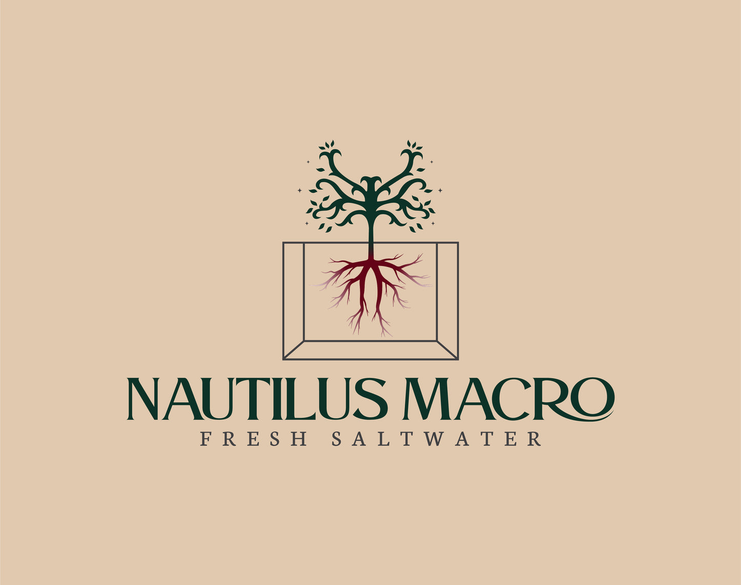 Standard Care Package (shipping included)