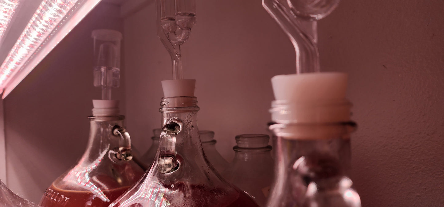 Beneficials Microbes