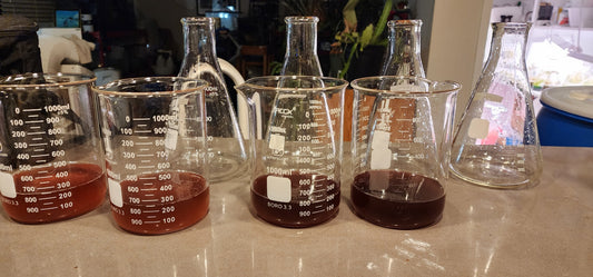 Starter Phytoplankton Cultures